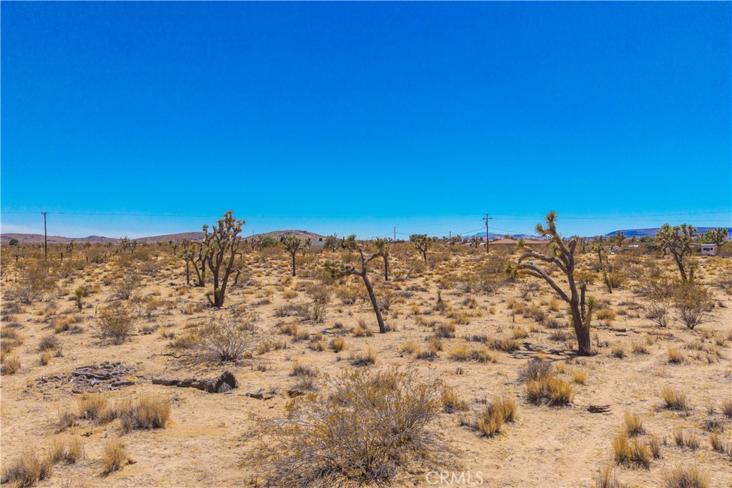 MLS #JT25178582 image #24