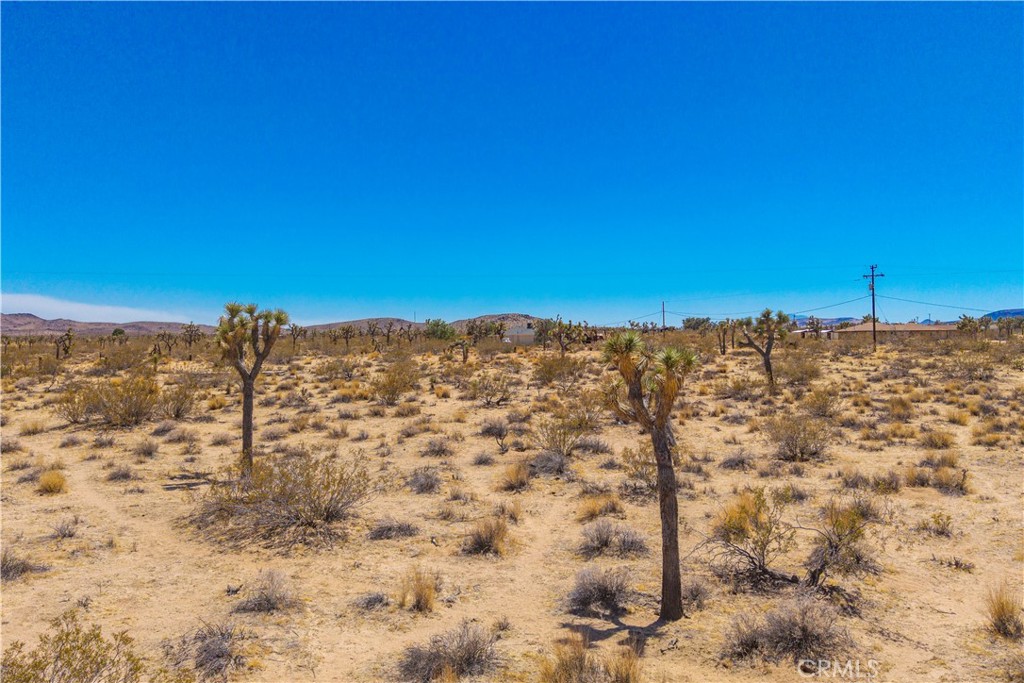 MLS #JT25178582 image #25