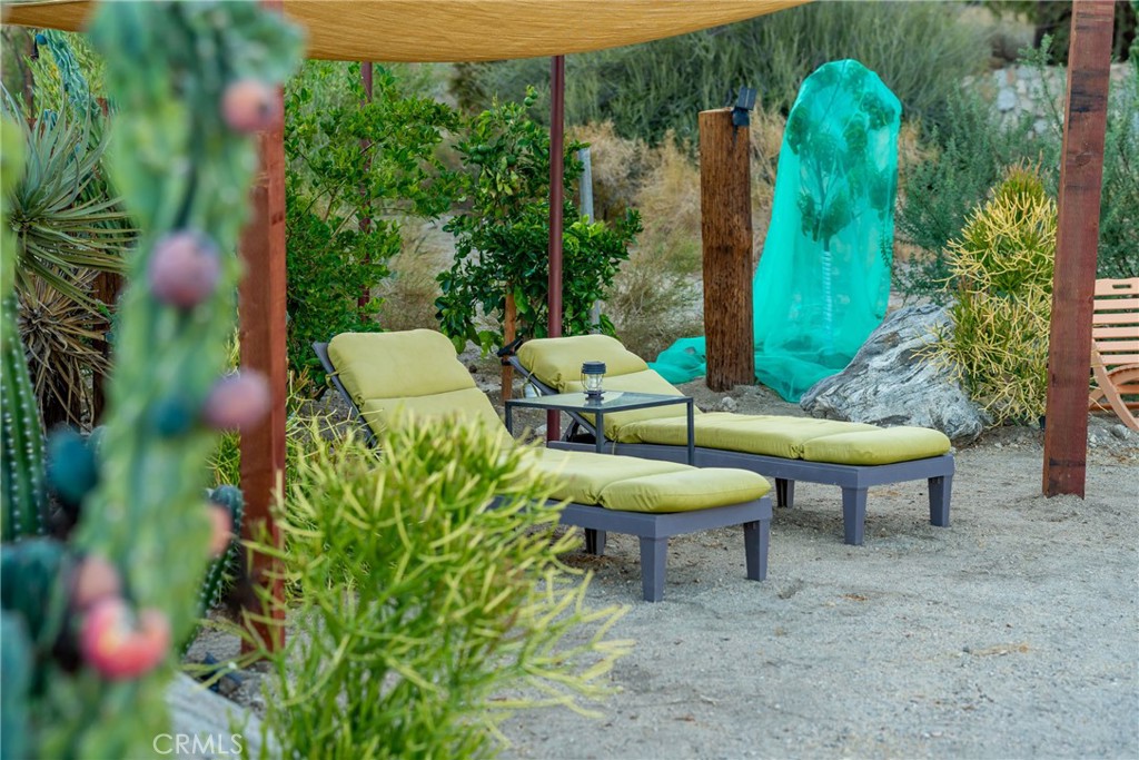 MLS #JT25180729 image #45