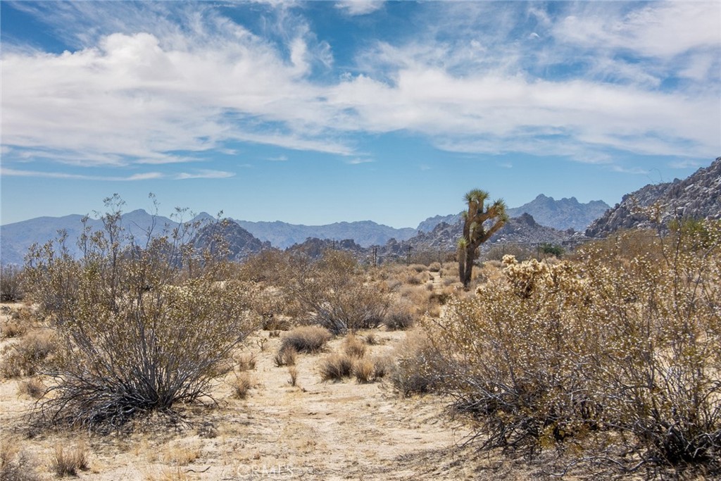 MLS #JT25180847 image #11