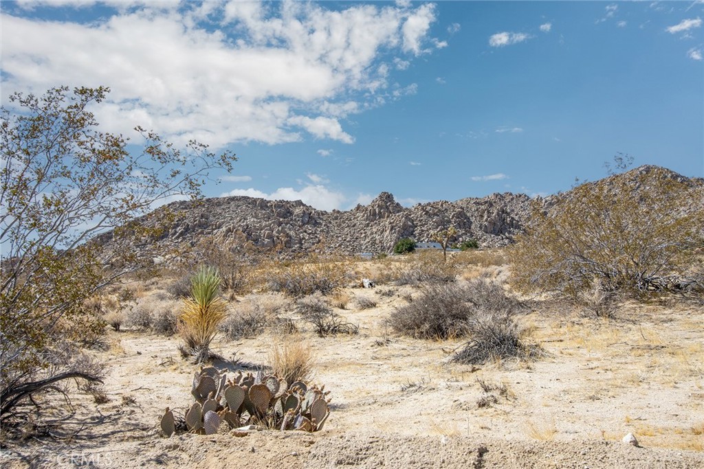 MLS #JT25180847 image #13