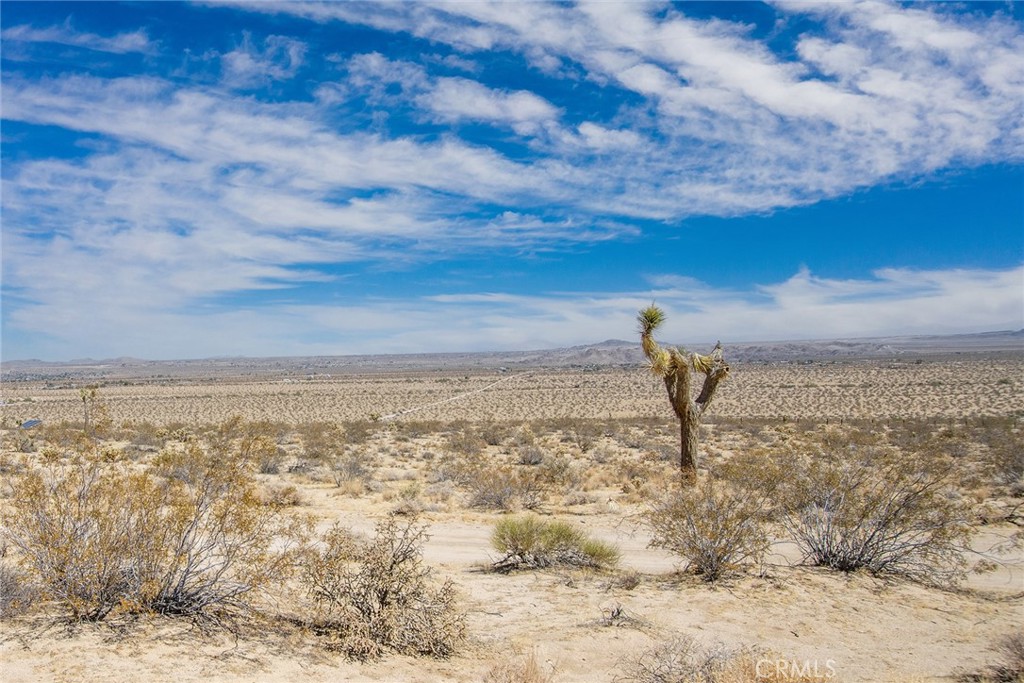 MLS #JT25180847 image #15