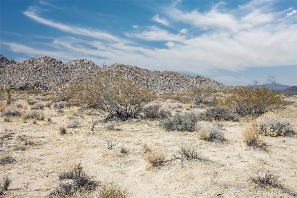 MLS #JT25180847 image #16