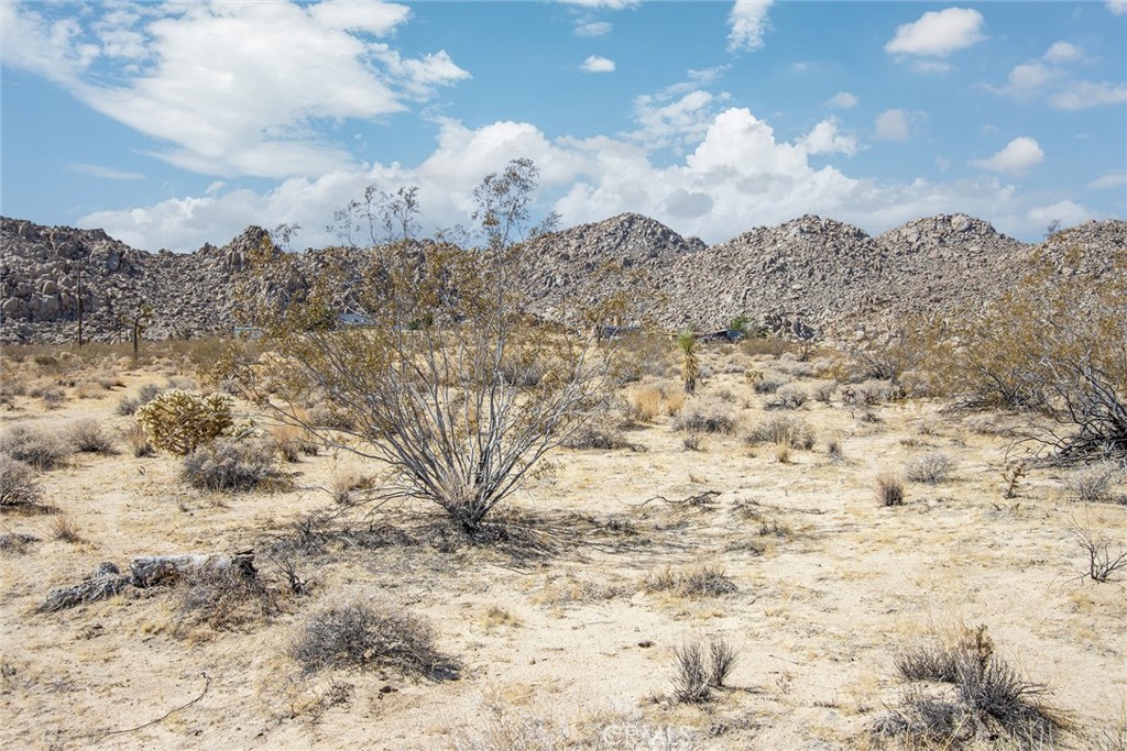 MLS #JT25180847 image #17