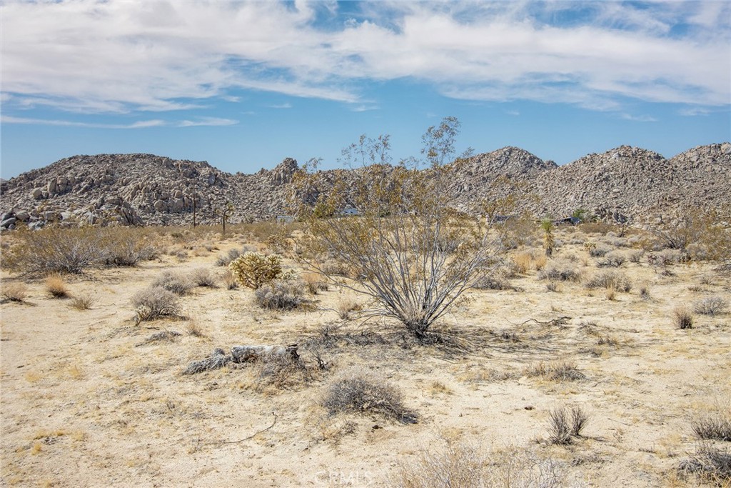 MLS #JT25180847 image #3