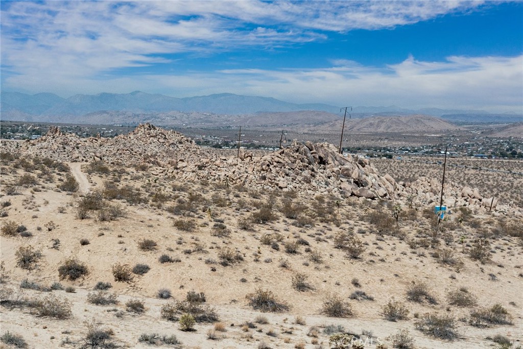 MLS #JT25180847 image #7