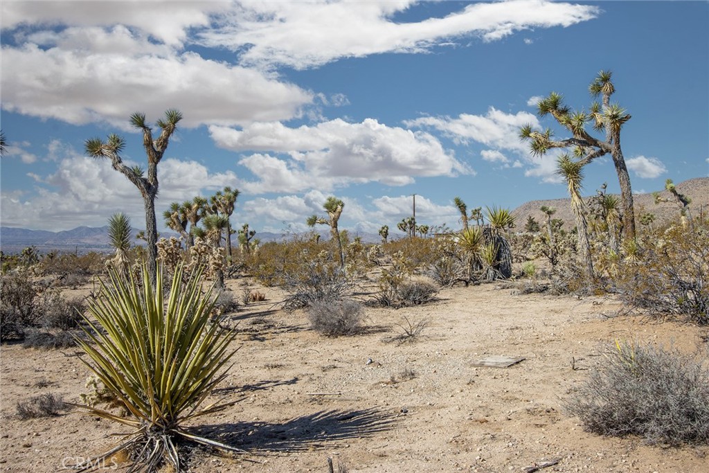 MLS #JT25180860 image #11