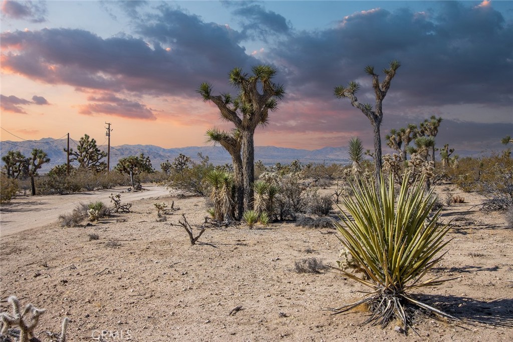 MLS #JT25180860 image #16