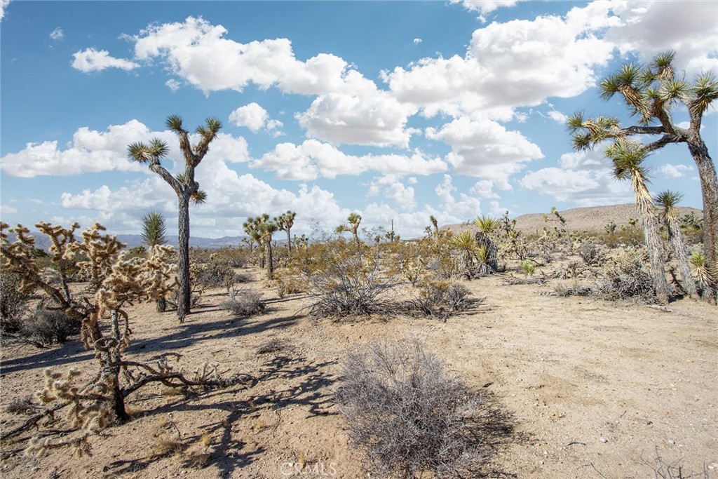 MLS #JT25180860 image #17