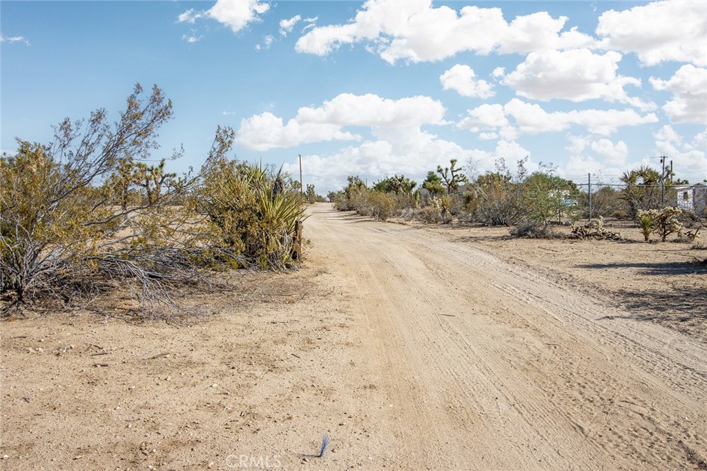 MLS #JT25180860 image #3