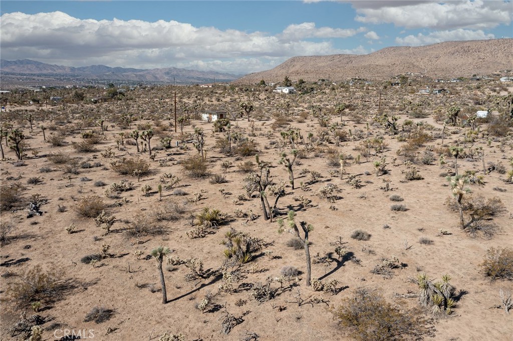 MLS #JT25180860 image #5