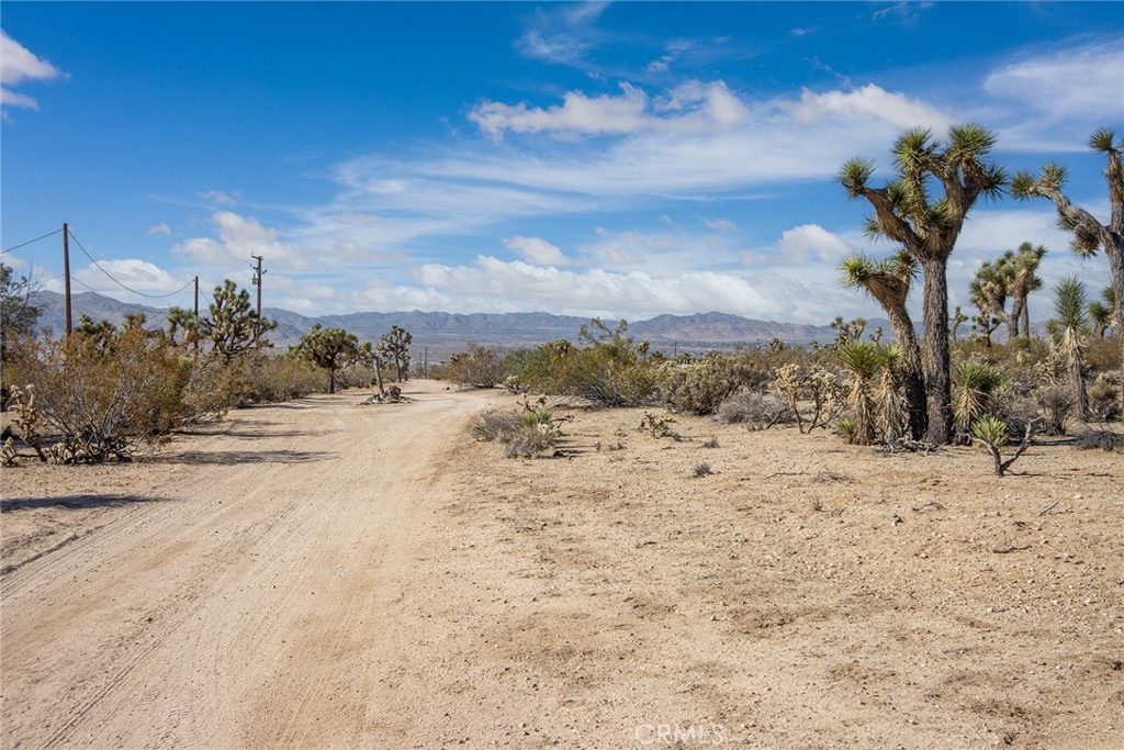 MLS #JT25180860 image #7