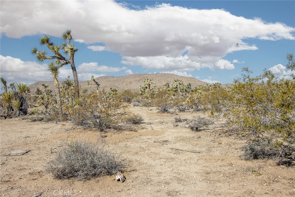 MLS #JT25180860 image #9