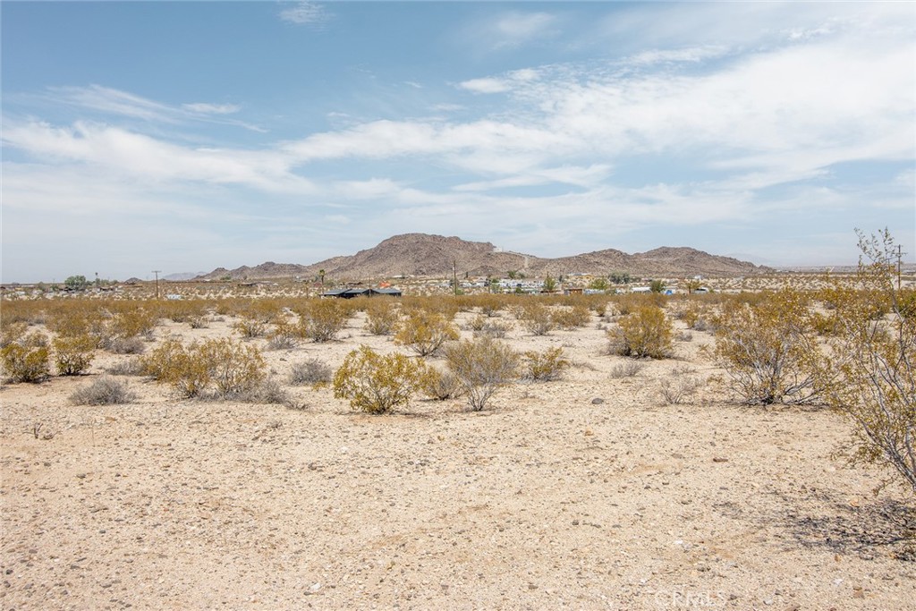 MLS #JT25180869 image #11