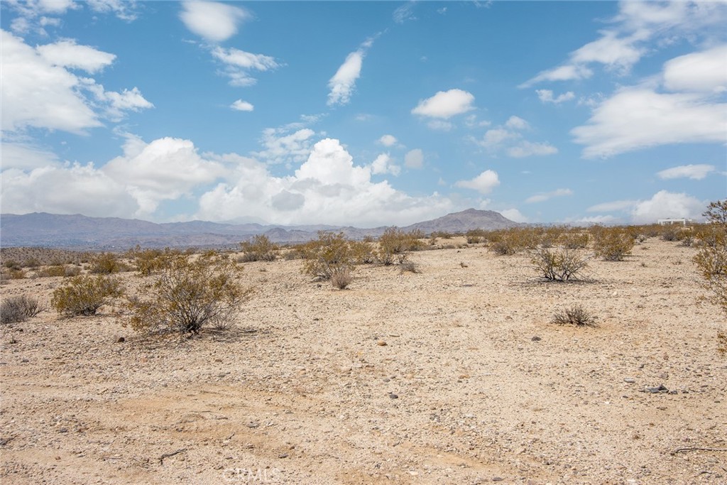 MLS #JT25180869 image #13