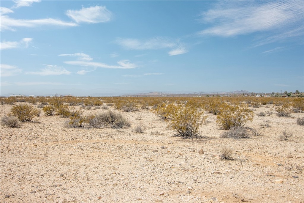 MLS #JT25180869 image #17