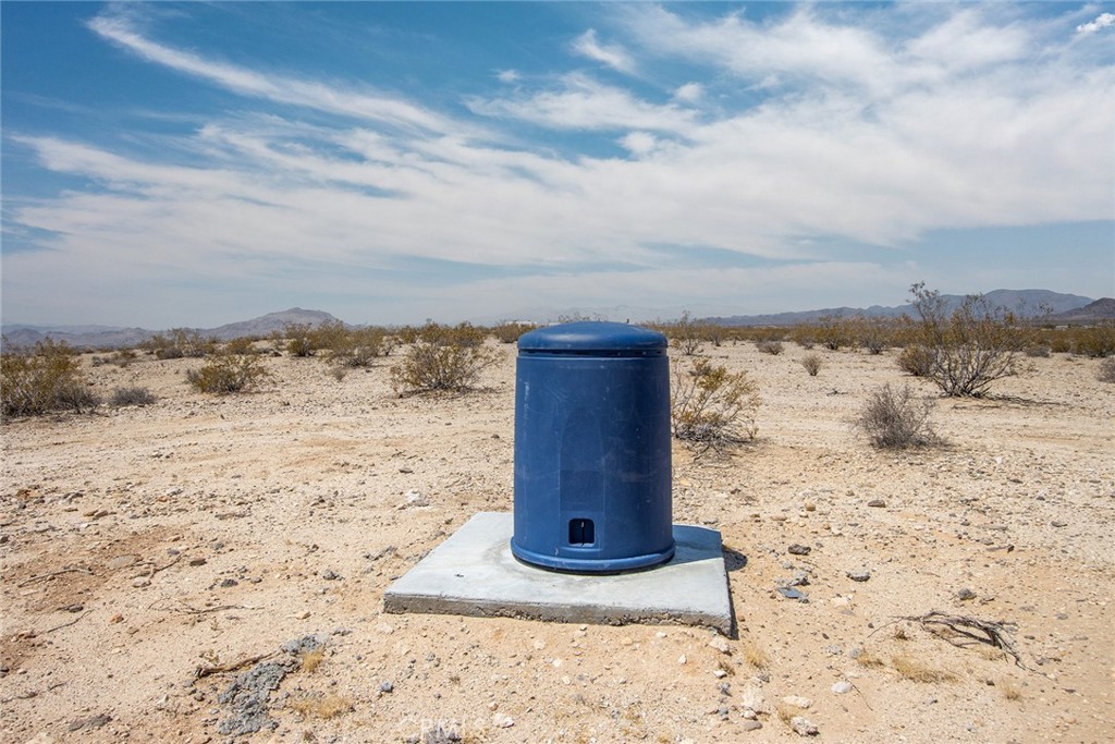 MLS #JT25180869 image #3