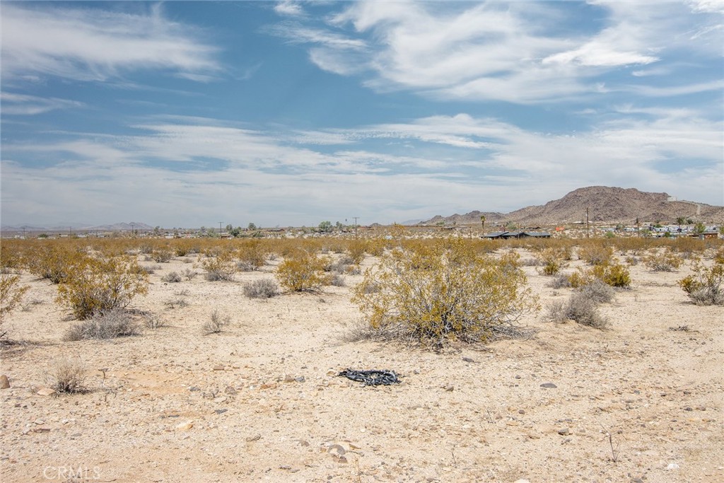 MLS #JT25180869 image #7