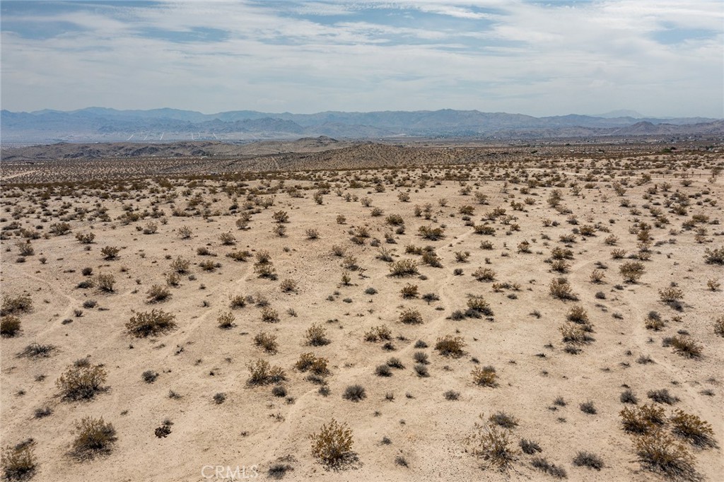 MLS #JT25180869 image #9