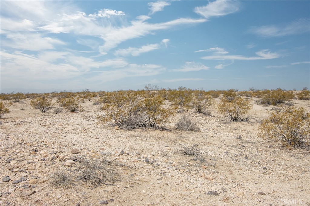 MLS #JT25181019 image #3