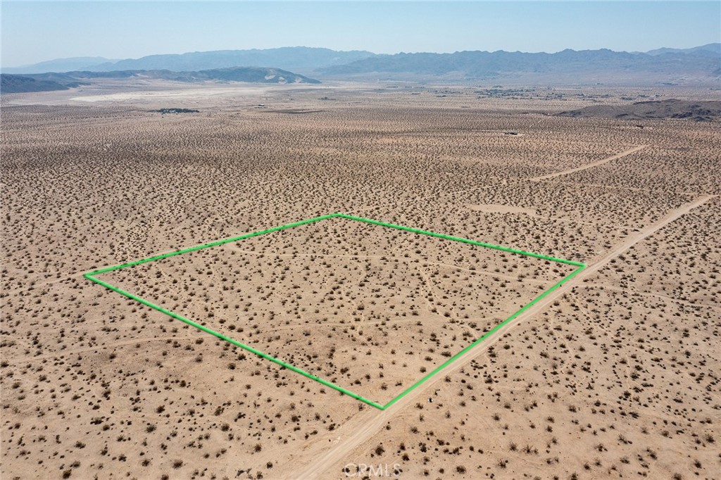 MLS #JT25181019 image #4