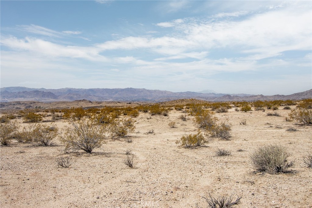 MLS #JT25181019 image #5