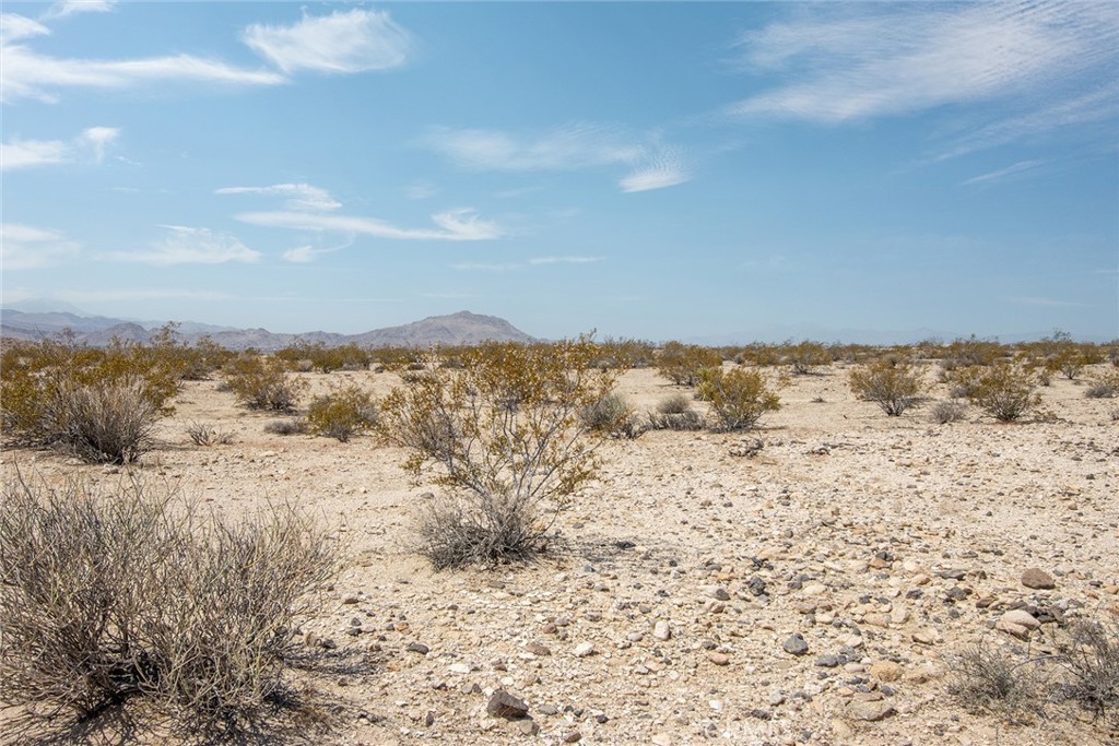 MLS #JT25181019 image #7