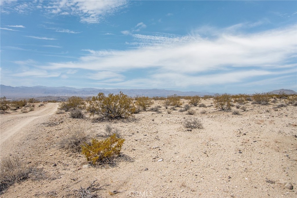 MLS #JT25181027 image #1