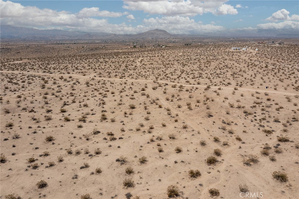 MLS #JT25181027 image #13