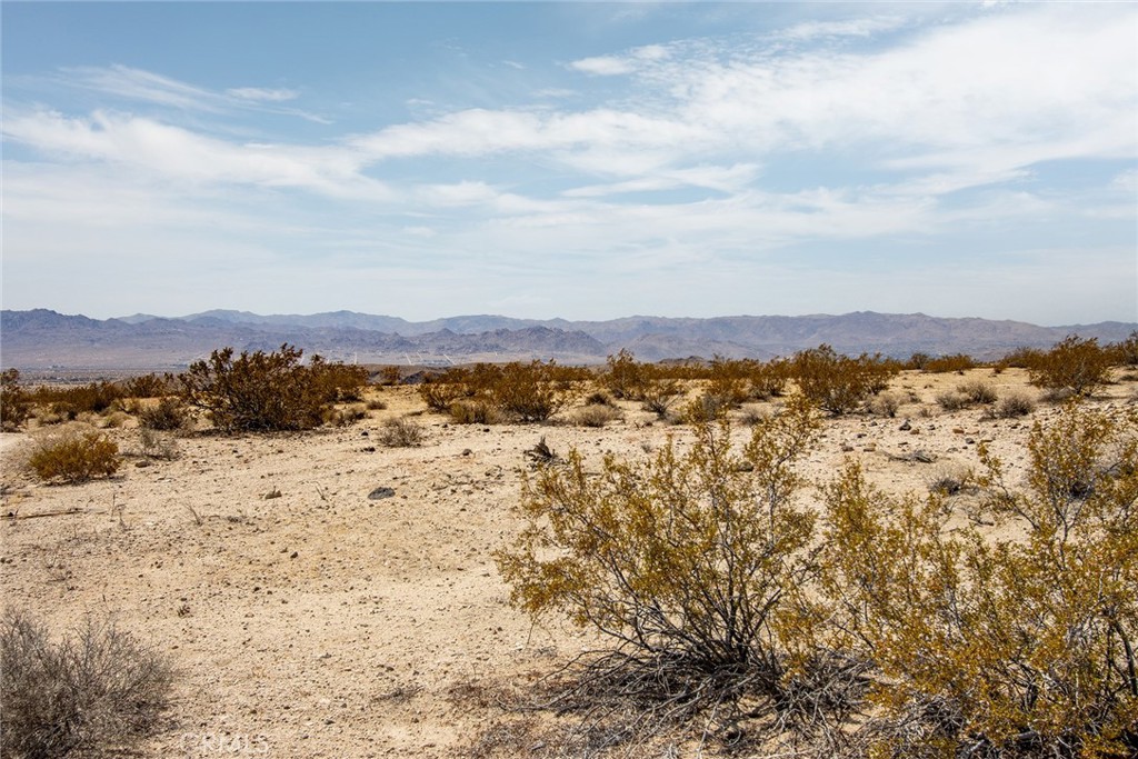 MLS #JT25181027 image #16