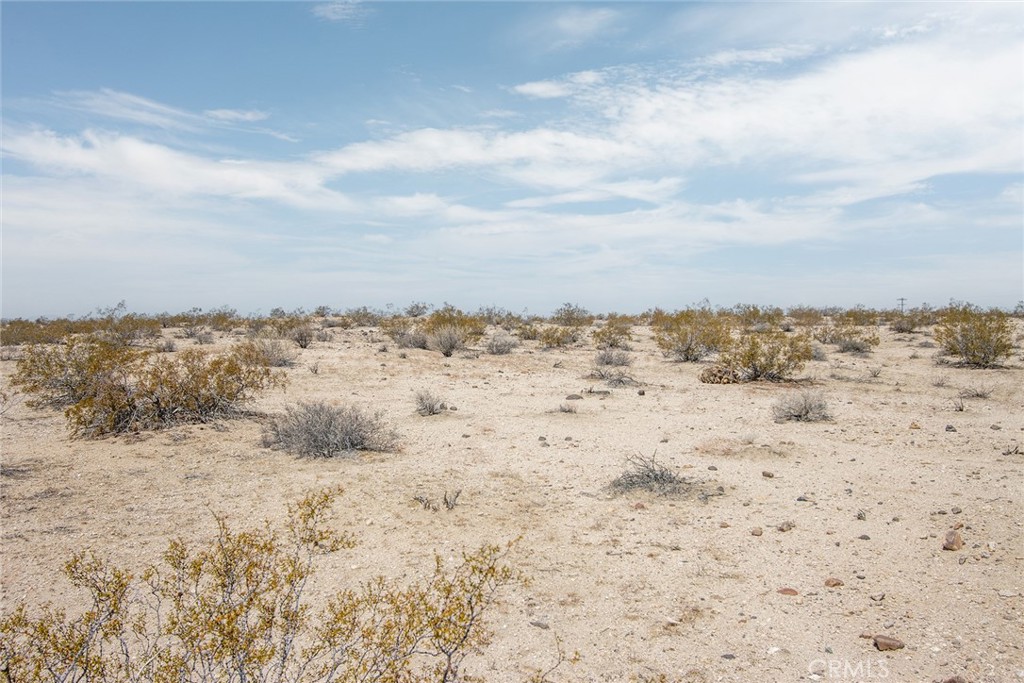 MLS #JT25181027 image #17