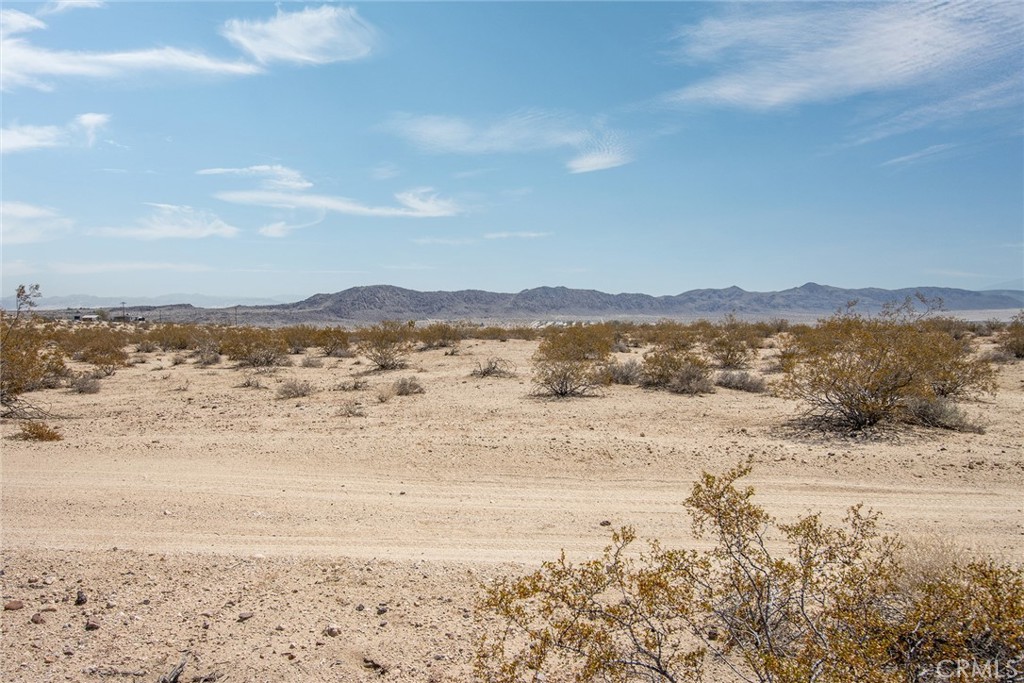 MLS #JT25181027 image #5