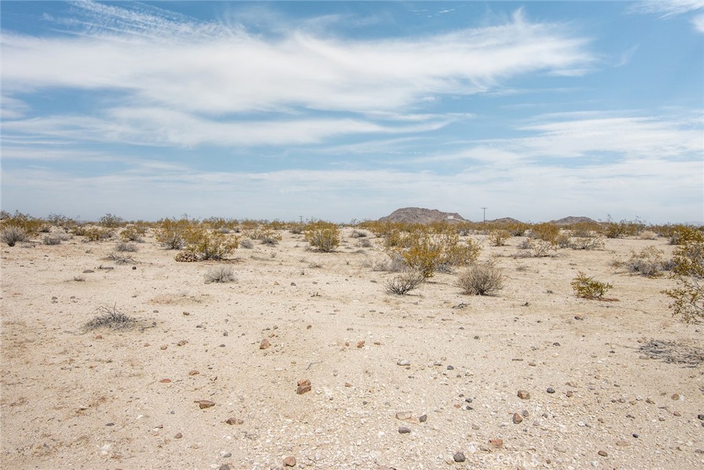 MLS #JT25181027 image #7