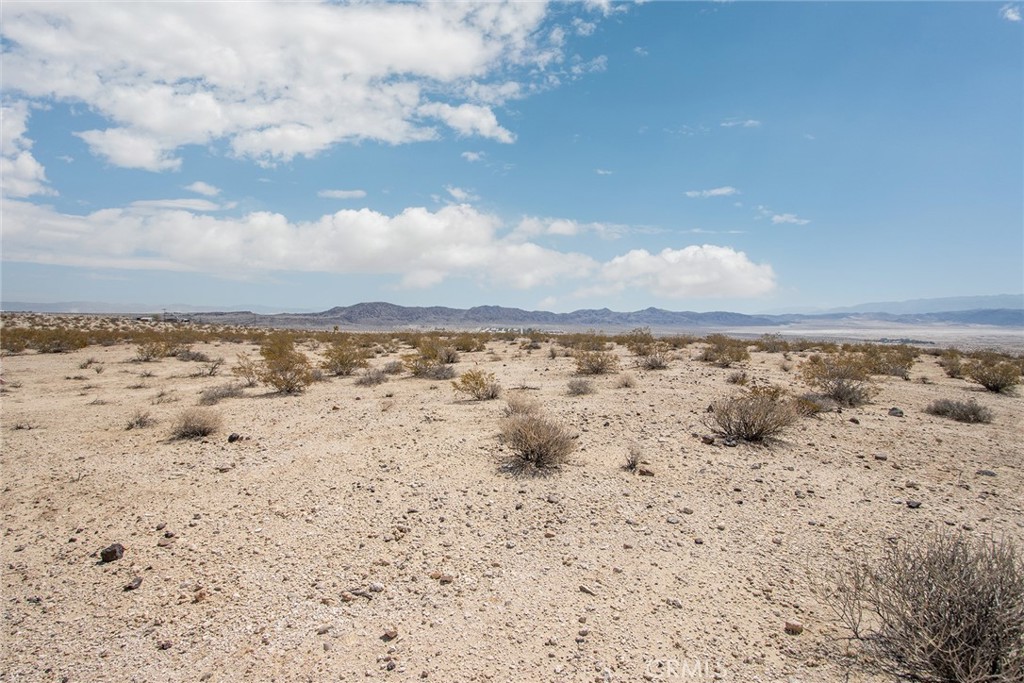 MLS #JT25181039 image #14