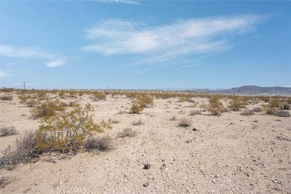 MLS #JT25181039 image #15