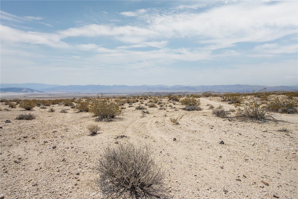 MLS #JT25181039 image #16