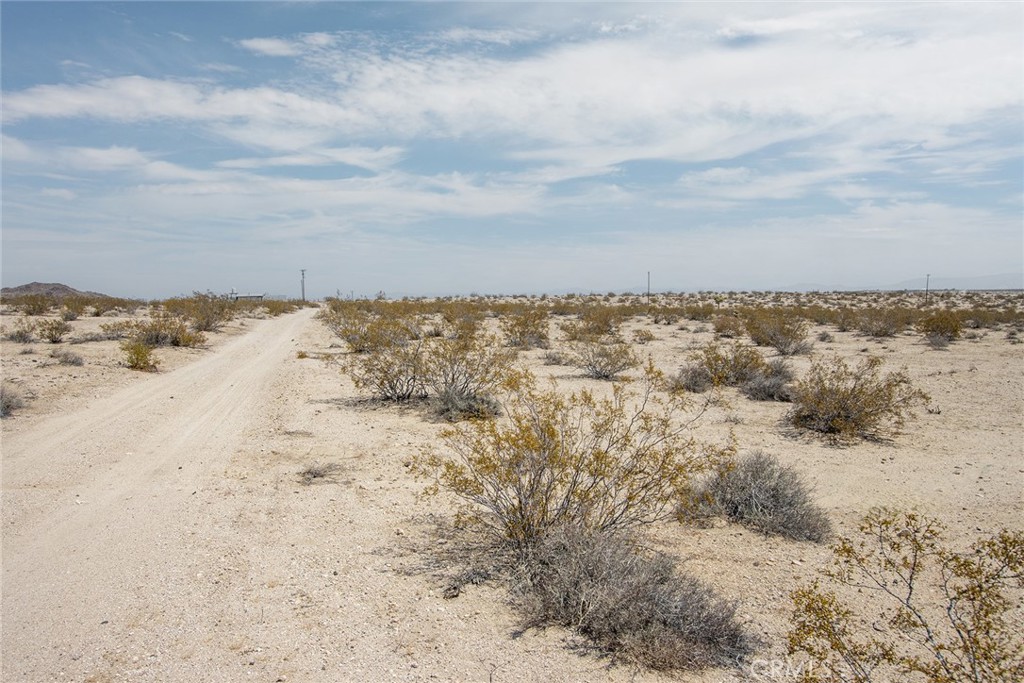 MLS #JT25181039 image #3