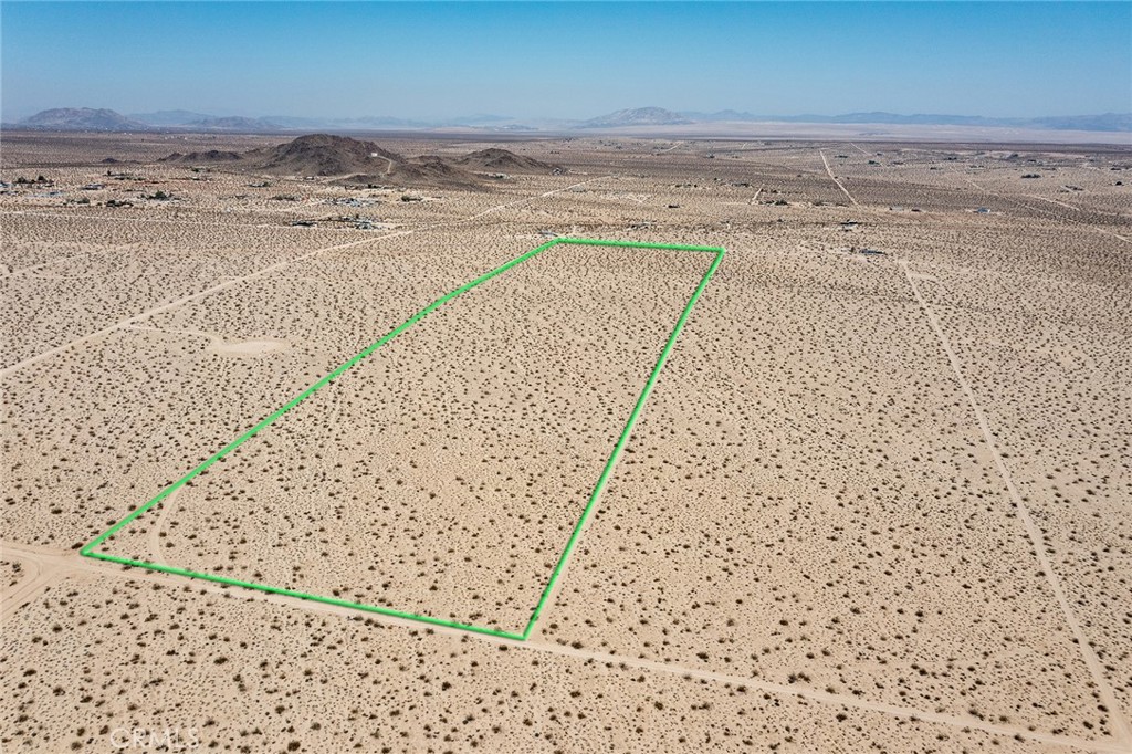 MLS #JT25181039 image #4