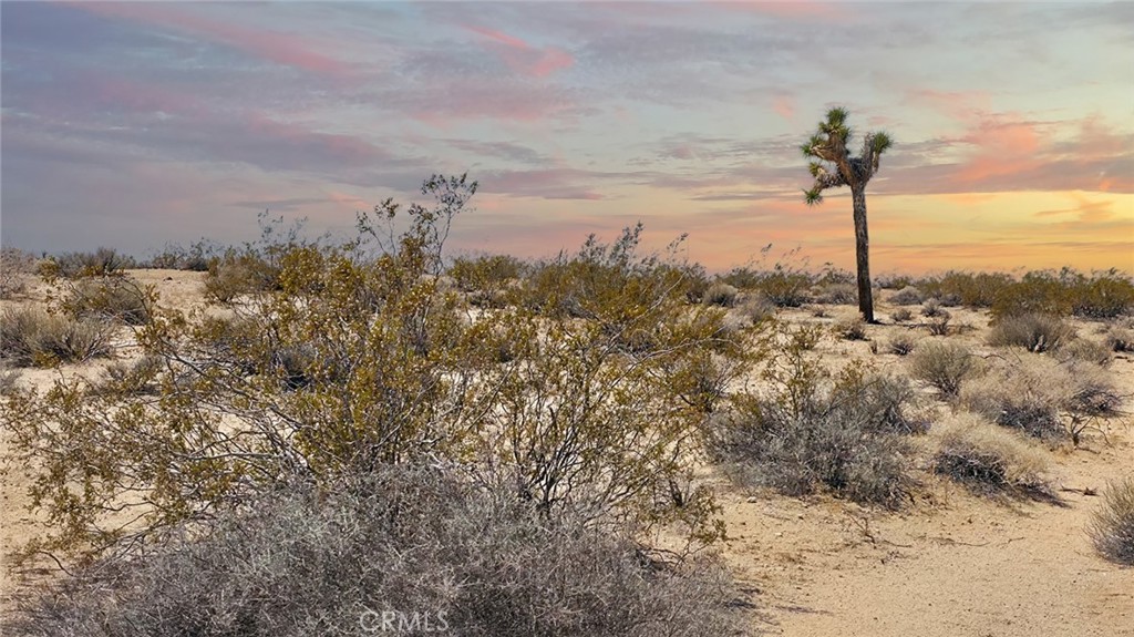 MLS #JT25181039 image #5