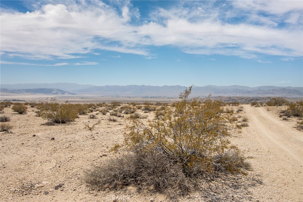 MLS #JT25181039 image #7