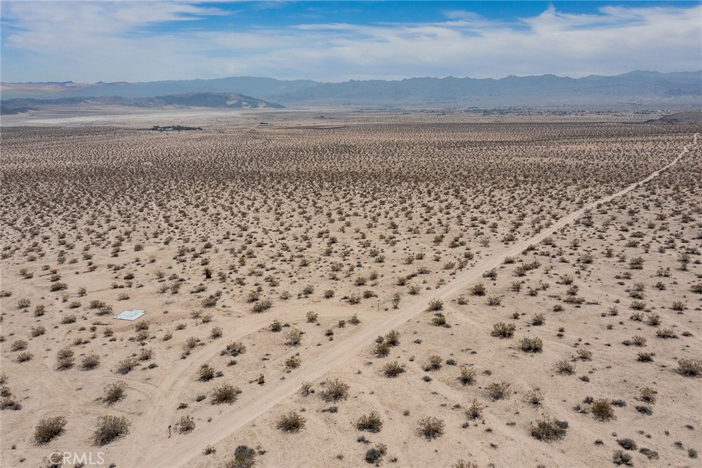 MLS #JT25181057 image #11