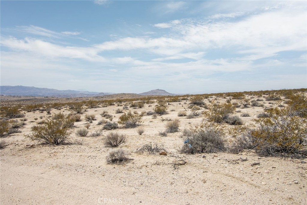 MLS #JT25181057 image #13