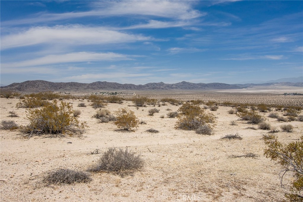 MLS #JT25181057 image #15