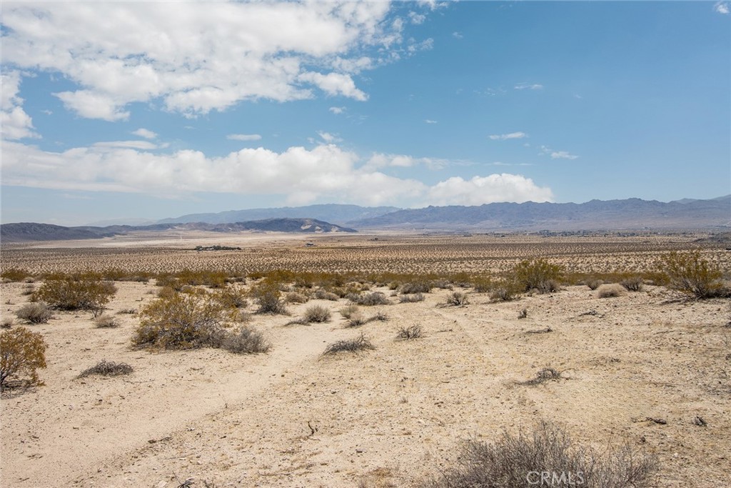 MLS #JT25181057 image #17