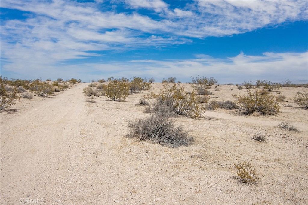 MLS #JT25181057 image #3