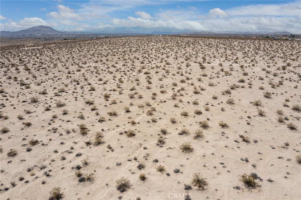 MLS #JT25181057 image #9