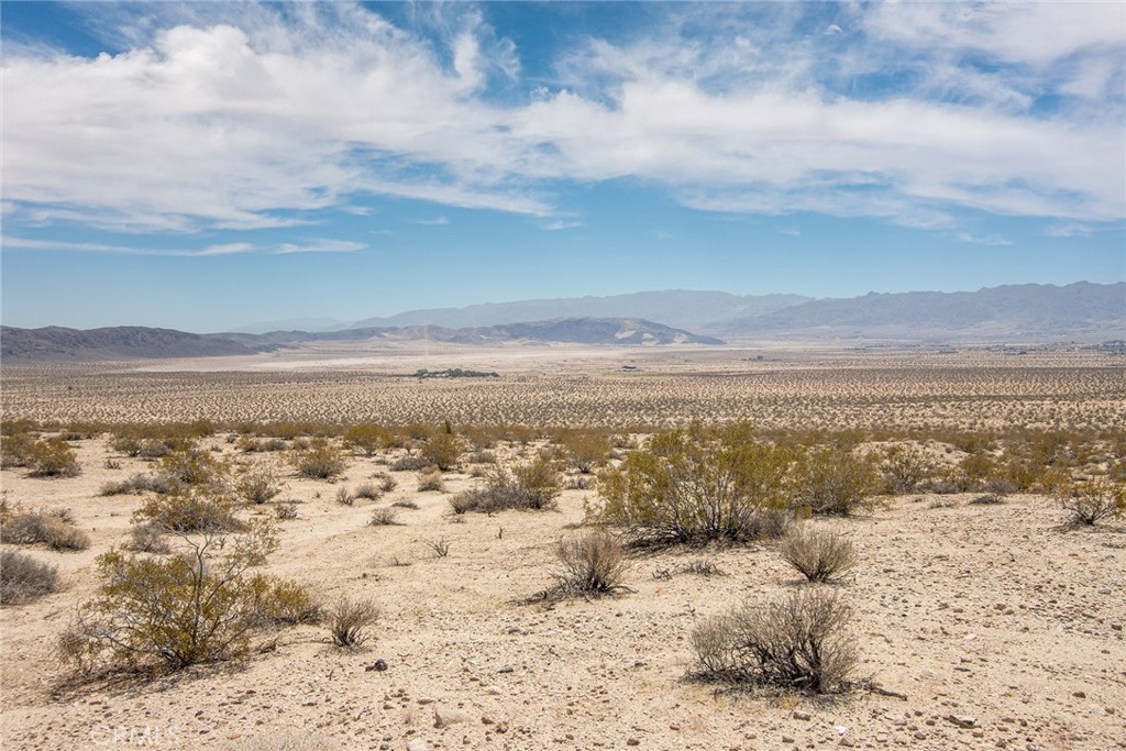 MLS #JT25181067 image #1