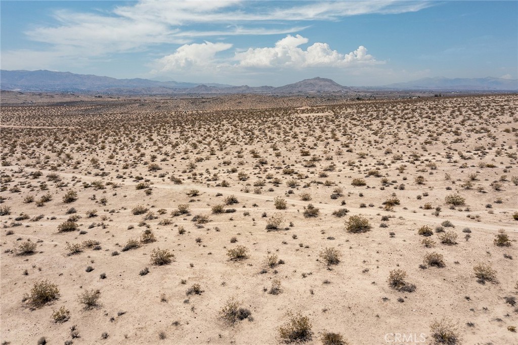 MLS #JT25181067 image #13