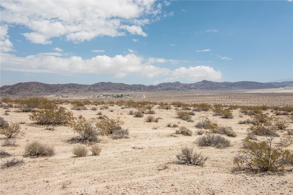 MLS #JT25181067 image #15