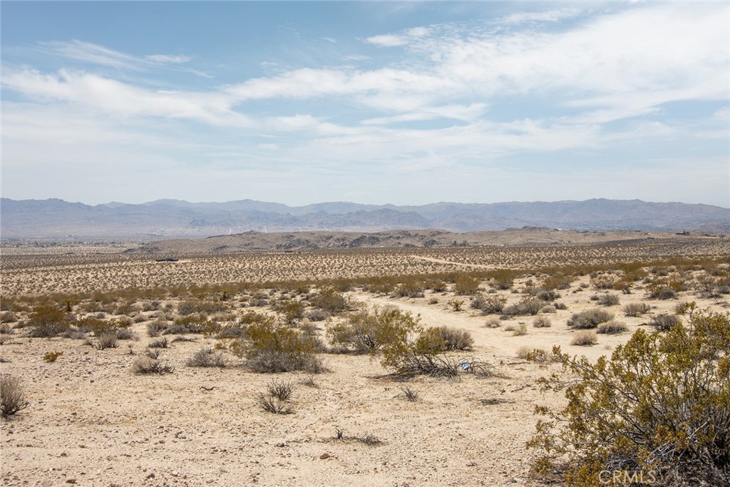 MLS #JT25181067 image #16